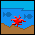 Coral Diving